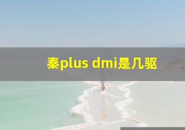 秦plus dmi是几驱